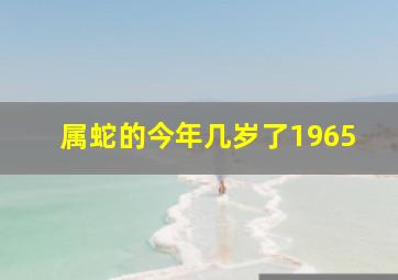 属蛇的今年几岁了1965