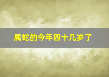 属蛇的今年四十几岁了