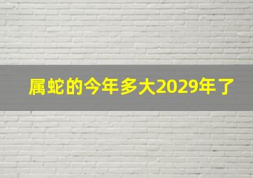 属蛇的今年多大2029年了