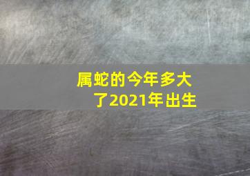 属蛇的今年多大了2021年出生