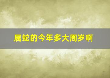 属蛇的今年多大周岁啊