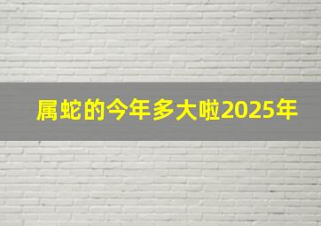 属蛇的今年多大啦2025年