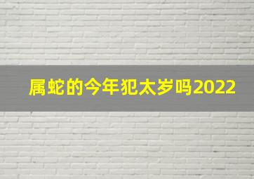 属蛇的今年犯太岁吗2022