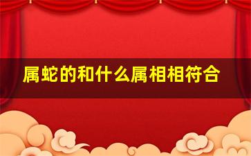 属蛇的和什么属相相符合