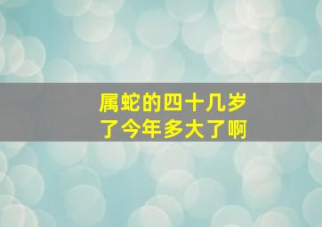 属蛇的四十几岁了今年多大了啊