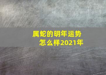 属蛇的明年运势怎么样2021年