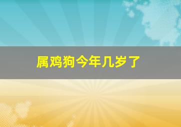 属鸡狗今年几岁了