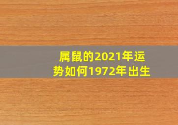 属鼠的2021年运势如何1972年出生