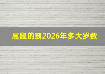 属鼠的到2026年多大岁数