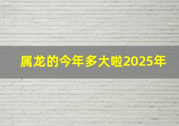 属龙的今年多大啦2025年