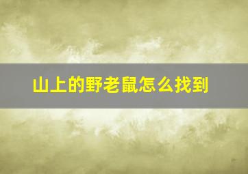 山上的野老鼠怎么找到