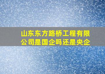 山东东方路桥工程有限公司是国企吗还是央企