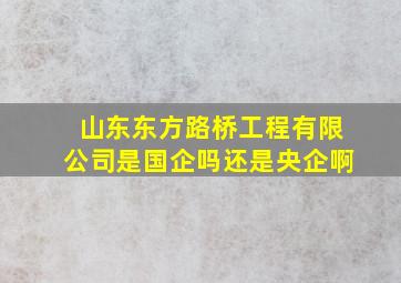 山东东方路桥工程有限公司是国企吗还是央企啊