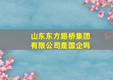 山东东方路桥集团有限公司是国企吗