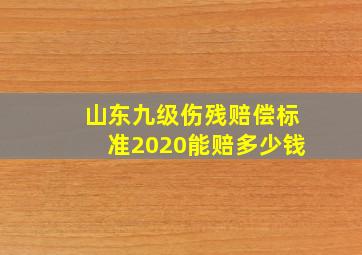 山东九级伤残赔偿标准2020能赔多少钱