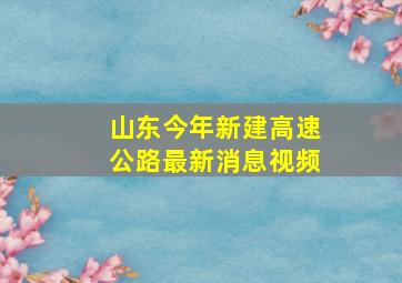 山东今年新建高速公路最新消息视频