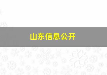 山东信息公开