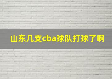 山东几支cba球队打球了啊