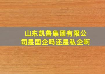 山东凯鲁集团有限公司是国企吗还是私企啊