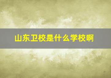 山东卫校是什么学校啊