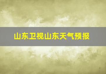 山东卫视山东天气预报