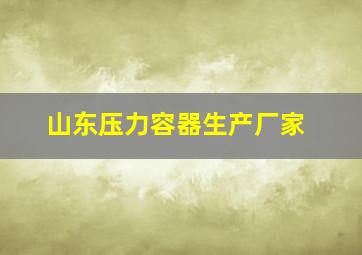 山东压力容器生产厂家