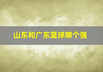 山东和广东篮球哪个强