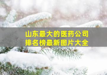 山东最大的医药公司排名榜最新图片大全