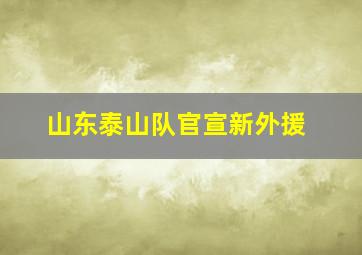 山东泰山队官宣新外援