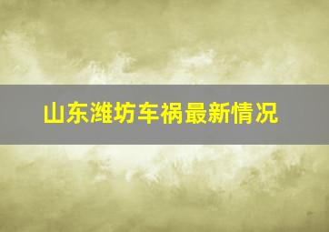 山东潍坊车祸最新情况