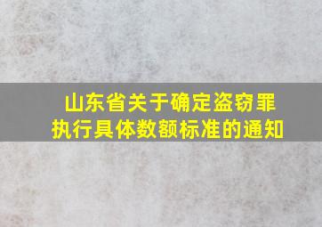 山东省关于确定盗窃罪执行具体数额标准的通知