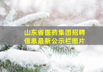 山东省医药集团招聘信息最新公示栏图片