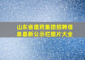 山东省医药集团招聘信息最新公示栏图片大全