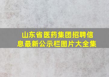 山东省医药集团招聘信息最新公示栏图片大全集