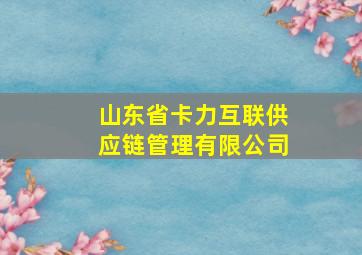 山东省卡力互联供应链管理有限公司