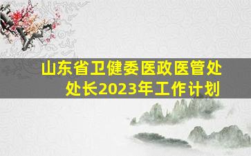 山东省卫健委医政医管处处长2023年工作计划