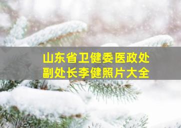 山东省卫健委医政处副处长李健照片大全