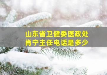 山东省卫健委医政处肖宁主任电话是多少