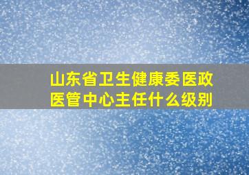 山东省卫生健康委医政医管中心主任什么级别