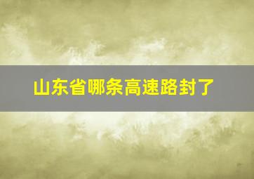 山东省哪条高速路封了