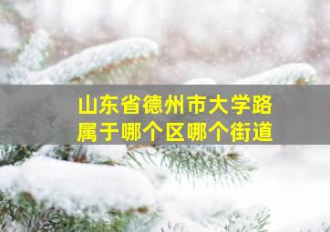 山东省德州市大学路属于哪个区哪个街道