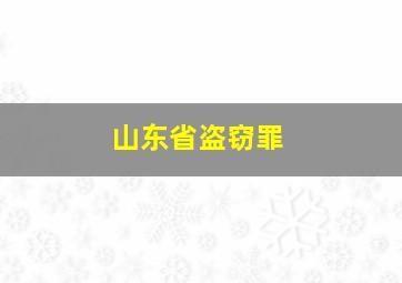 山东省盗窃罪