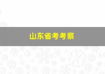 山东省考考察