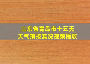 山东省青岛市十五天天气预报实况视频播放