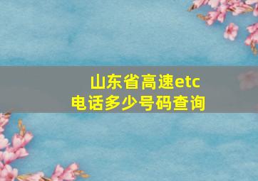 山东省高速etc电话多少号码查询