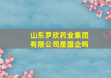 山东罗欣药业集团有限公司是国企吗