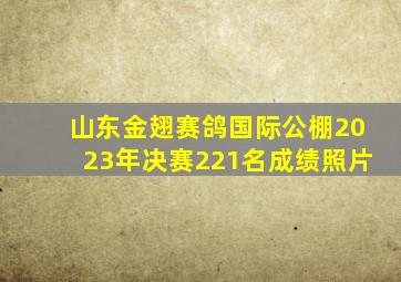 山东金翅赛鸽国际公棚2023年决赛221名成绩照片