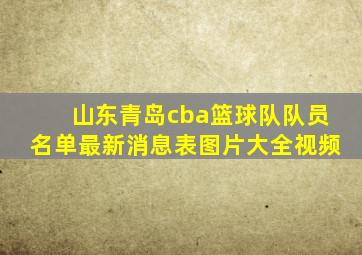 山东青岛cba篮球队队员名单最新消息表图片大全视频