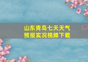 山东青岛七天天气预报实况视频下载