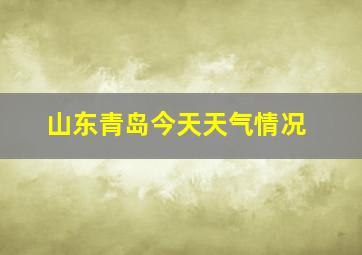 山东青岛今天天气情况